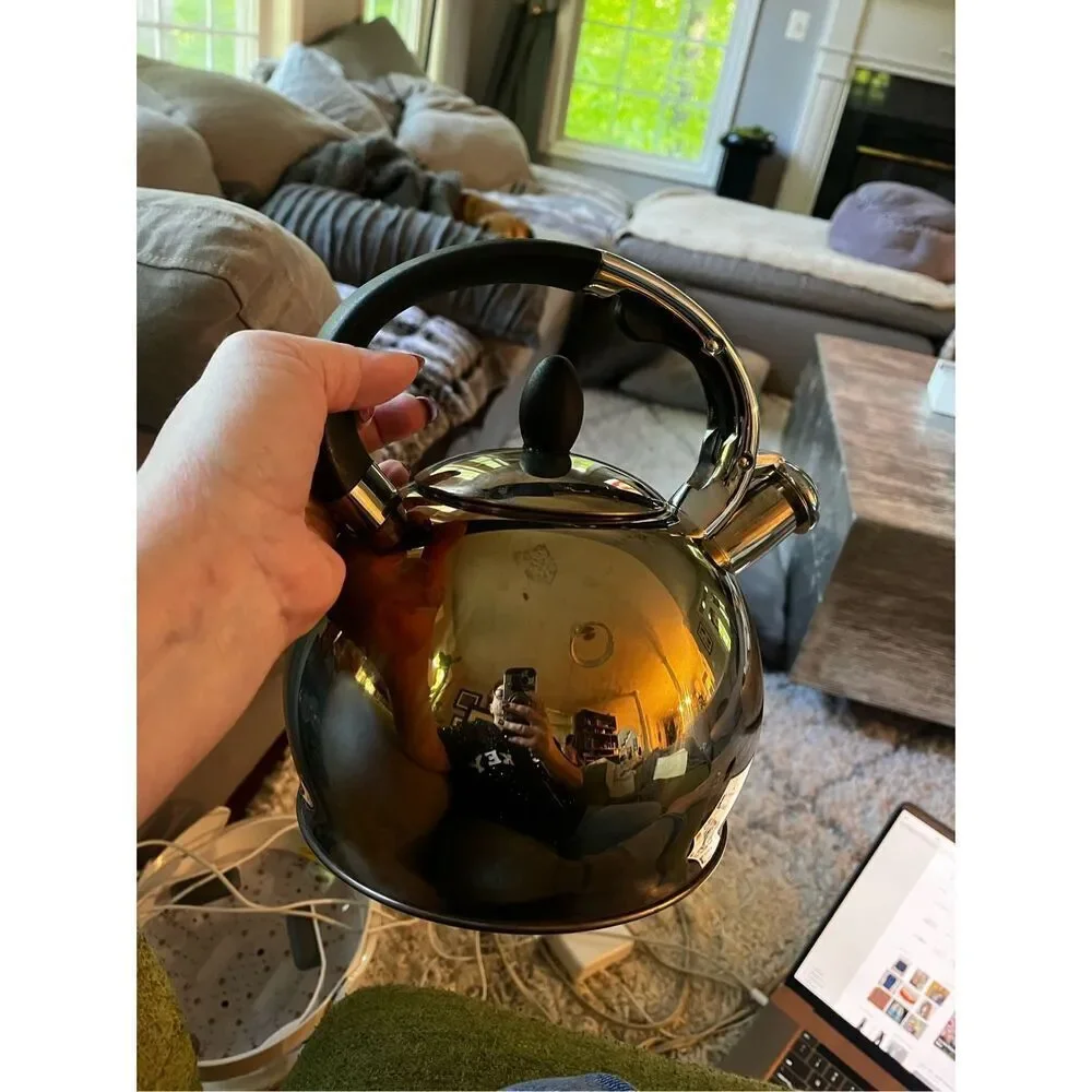 Susteas Silver Stainless Steel Whistling Tea Kettle